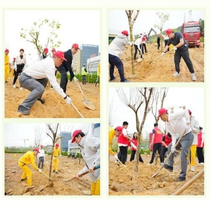 OptoStokes: Arbor Day 2025 &amp; Eco-Friendly Optical Filter