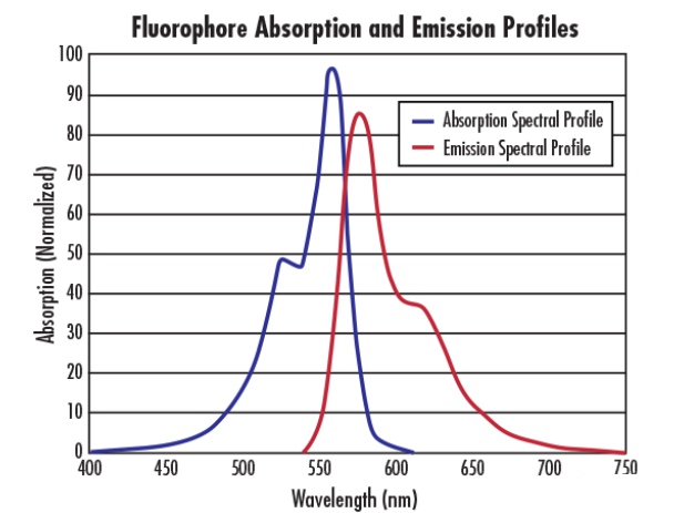 Fluorescent group spectral curve