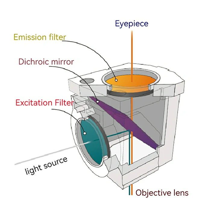 OPTOStokes delivers. Our cubes match OEM specifications for Olympus, Nikon, Leica, and Zeiss—ensuring seamless integration with your microscope.