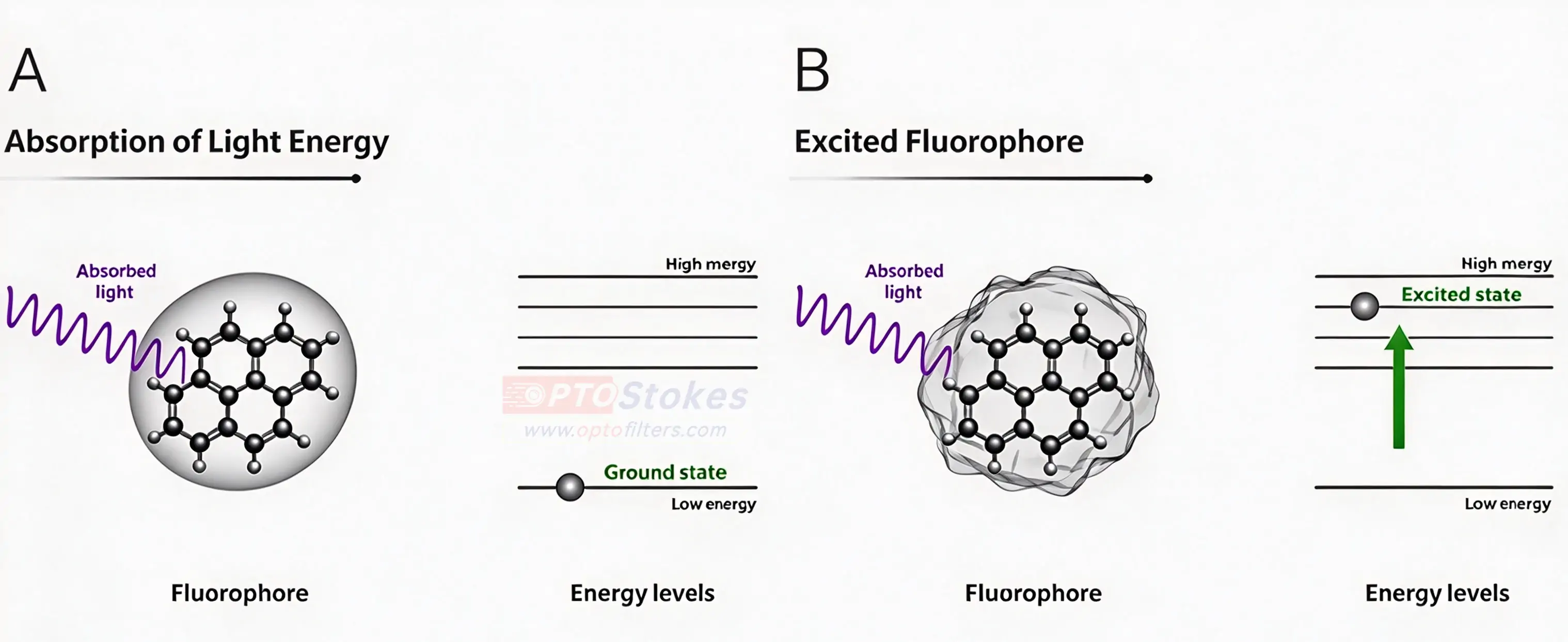 High-Precision Optical Flats & Fluorescence Filter Sets for Advanced Bio-Medical & Industrial Applications(pic1)